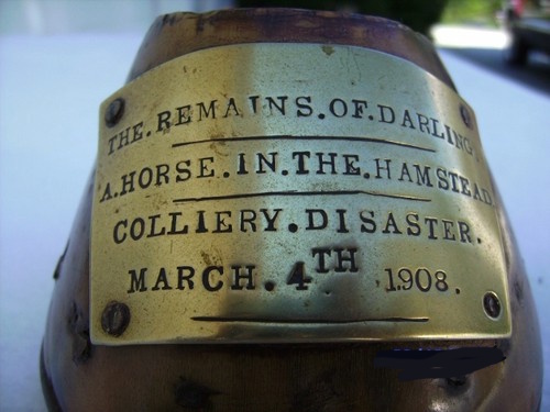 Remains of Darling the Pony